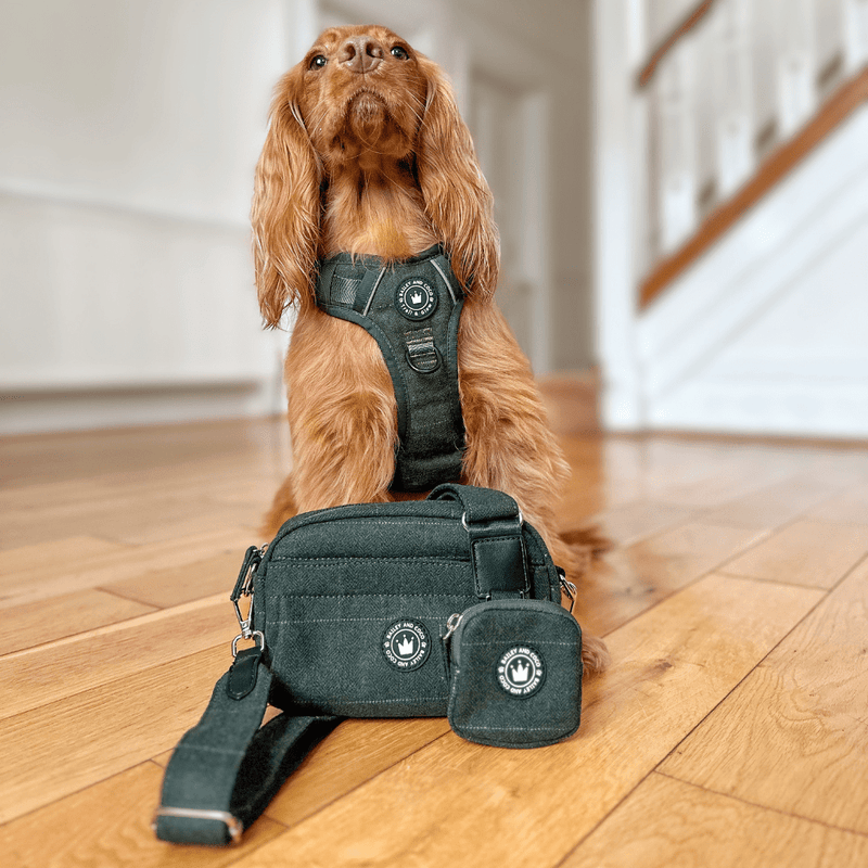 Forest Tweed Adjustable Dog Harness, Lead, Collar & Tweed Dog Walking Bag Bundle - Bailey and Coco (UK)