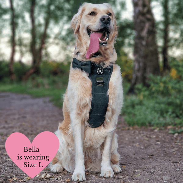 Forest Tweed Adjustable Dog Harness, Lead, Collar & Tweed Dog Walking Bag Bundle - Bailey and Coco (UK)