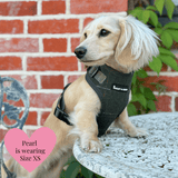 Forest Tweed - Colour Drops - Lightweight & Adjustable Dog Harness, Lead, Collar & Dog Walking Bag Bundle - Bailey and Coco (UK)
