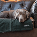 Forest Tweed Dog Blanket - Soft Sherpa Lined - Bailey and Coco (UK)