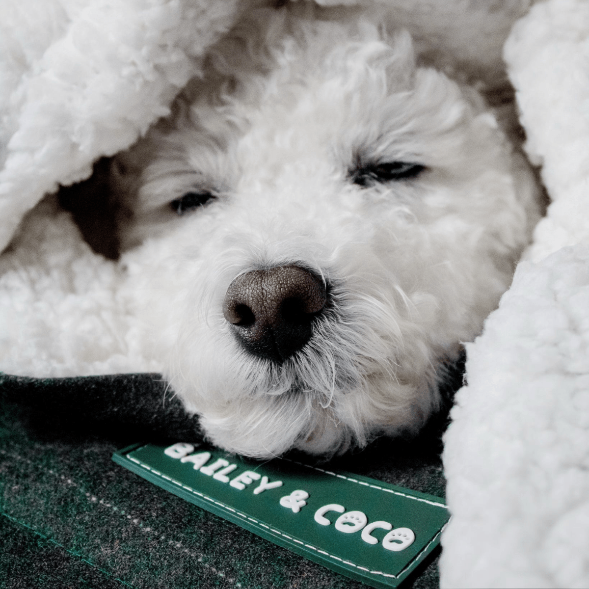 Forest Tweed Dog Blanket - Soft Sherpa Lined - Bailey and Coco (UK)