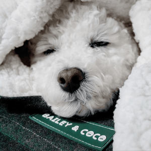Forest Tweed Dog Blanket - Soft Sherpa Lined - Bailey and Coco (UK)