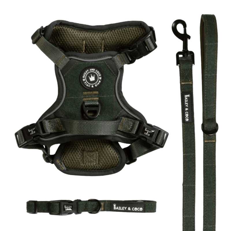 Forest Tweed Trail & Glow Dog Harness, Lead & Collar Bundle - Bailey and Coco (UK)