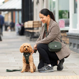 Forest Tweed Trail & Glow Dog Harness, Lead & Collar Bundle - Bailey and Coco (UK)