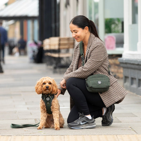 Forest Tweed Adjustable Dog Harness, Lead, Collar & Tweed Dog Walking Bag Bundle - alternate view