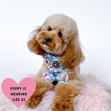 HOT Dog Harness Pets At Home Dog Hoodie Harness Dog Poodle