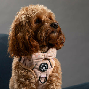 Glow Harness® - Almond Tweed - Bailey and Coco (UK)