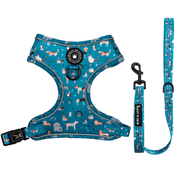 Glow Harness® and Lead Set - A Dog's Tail - Bailey and Coco (UK)