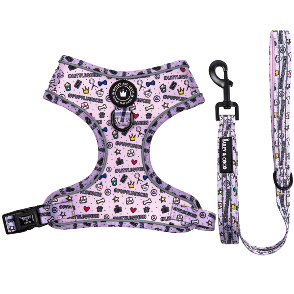 Glow Harness® and Lead Set - Pupfluencer Little Queen - Bailey and Coco (UK)