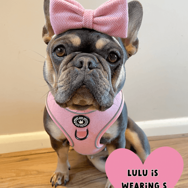 Glow Harness® - Bubblegum Pink Tweed - alternate view