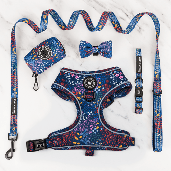 Glow Harness® Bundle Set - Enchanted - Bailey and Coco (UK)
