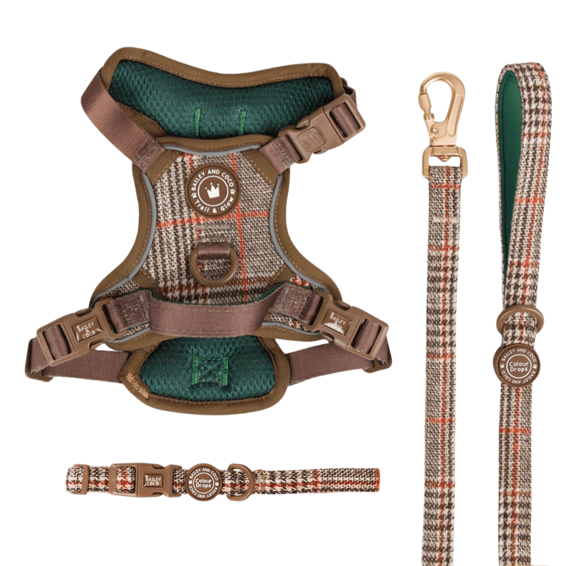 Heritage Plaid Trail & Glow Dog Harness, Lead & Collar Bundle