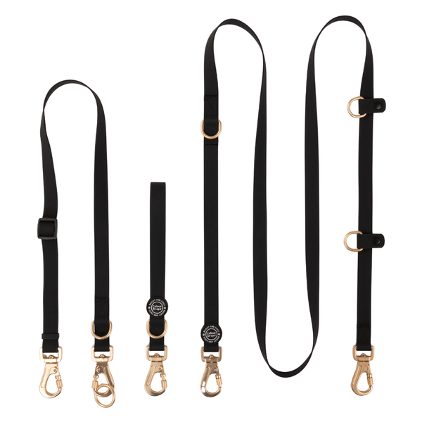 Hands-Free Double Ended Dog Lead Complete Set – Jet Black - Bailey and Coco (UK)