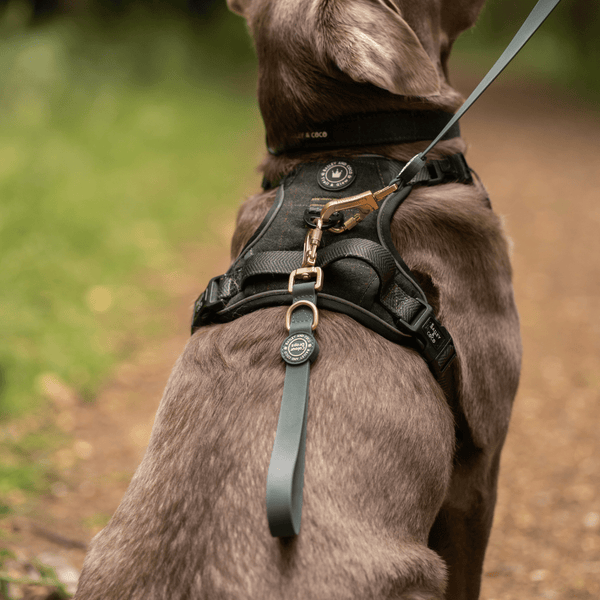 Traffic Handle Add-On for Double Ended Dog Lead – Forest Green - alternate view