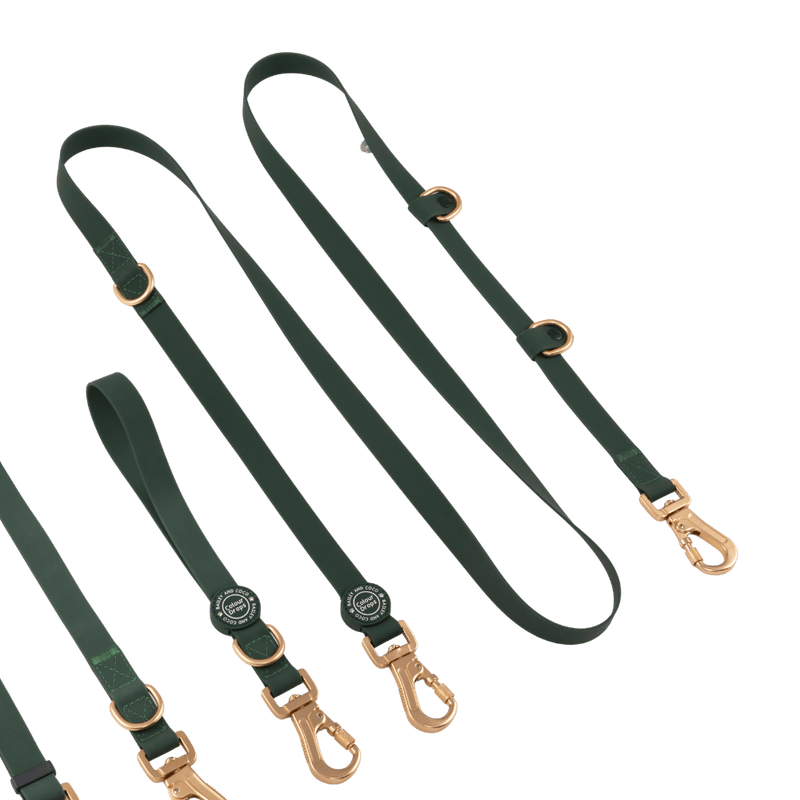 Hands-Free Double Ended Dog Lead – Forest Green - Bailey and Coco (UK)