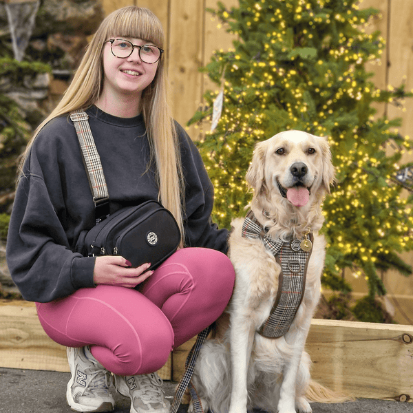 Heritage Plaid Adjustable Dog Harness, Lead, Collar & Black Dog Walking Bag Bundle - alternate view
