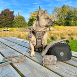 Heritage Plaid Adjustable Dog Harness, Lead, Collar & Black Dog Walking Bag Bundle - Bailey and Coco (UK)