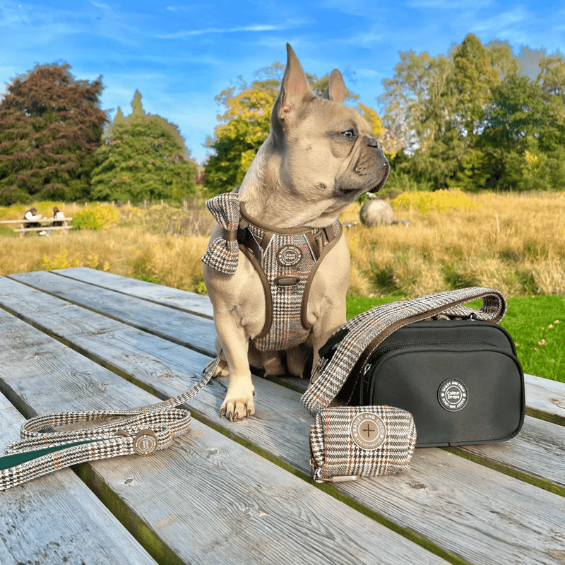 Heritage Plaid Adjustable Dog Harness, Lead, Collar & Black Dog Walking Bag Bundle - Bailey and Coco (UK)