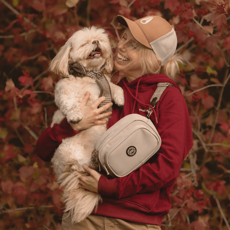 Heritage Plaid Adjustable Dog Harness, Lead, Collar & Latte Dog Walking Bag Bundle - Bailey and Coco (UK)