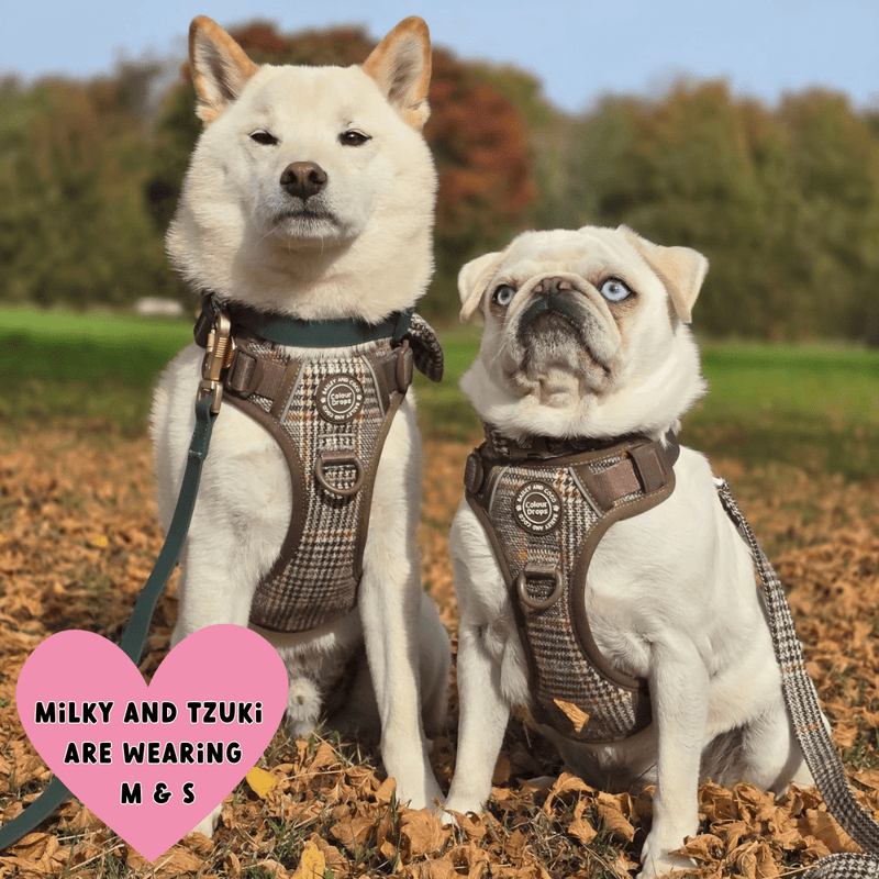 Heritage Plaid Adjustable Dog Harness, Lead, Collar & Latte Dog Walking Bag Bundle - Bailey and Coco (UK)