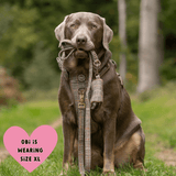 Heritage Plaid Adjustable Dog Harness, Lead, Collar & Latte Dog Walking Bag Bundle - Bailey and Coco (UK)