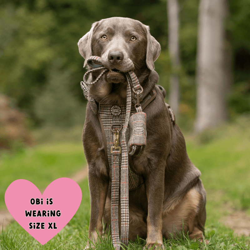 Heritage Plaid Adjustable Dog Harness, Lead, Collar & Latte Dog Walking Bag Bundle - Bailey and Coco (UK)