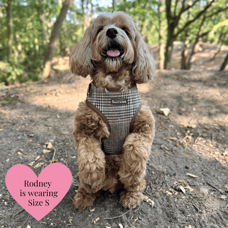 Heritage Plaid - Colour Drops - Lightweight & Adjustable Dog Harness, Lead, Collar & Dog Walking Bag Bundle - Bailey and Coco (UK)