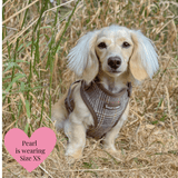 Heritage Plaid - Colour Drops - Lightweight & Adjustable Dog Harness, Lead, Collar & Dog Walking Bag Bundle - Bailey and Coco (UK)