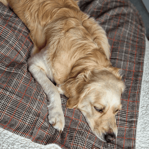 Heritage Plaid Dog Blanket - Soft Sherpa Lined - Bailey and Coco (UK)
