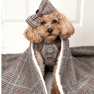 Heritage Plaid Dog Blanket - Soft Sherpa Lined - Bailey and Coco (UK)
