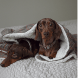 Heritage Plaid Dog Blanket - Soft Sherpa Lined - Bailey and Coco (UK)