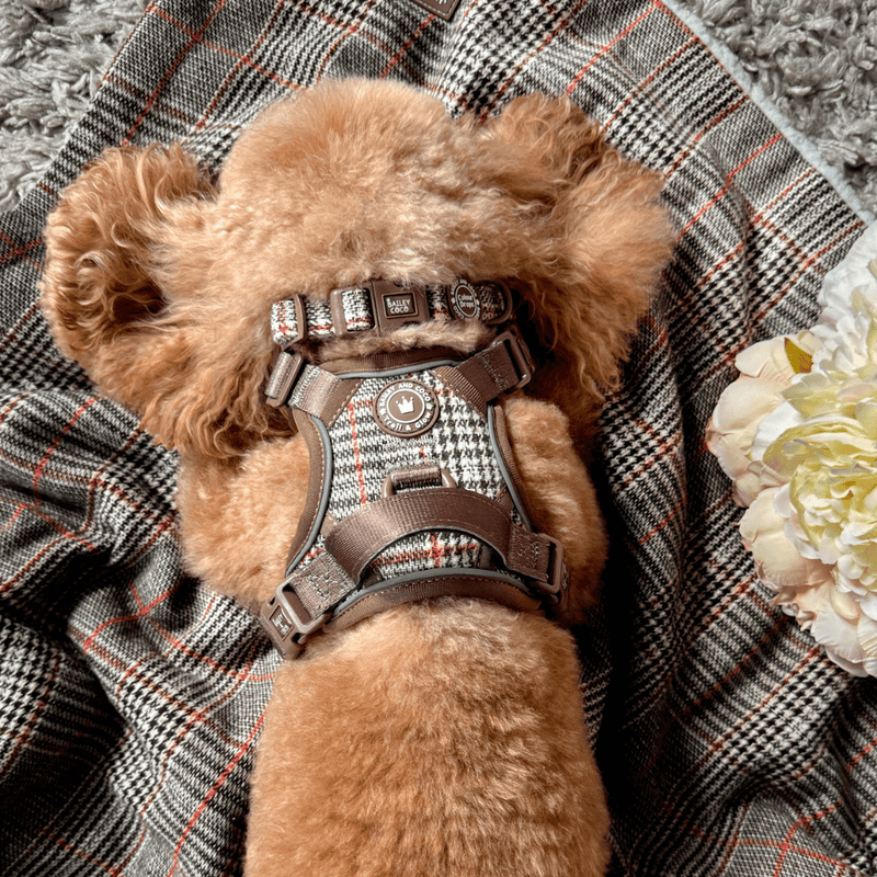 Heritage Plaid Dog Blanket - Soft Sherpa Lined - Bailey and Coco (UK)