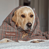 Heritage Plaid Dog Blanket - Soft Sherpa Lined - Bailey and Coco (UK)