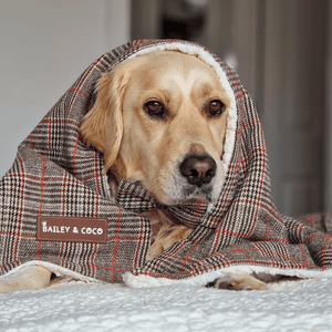 Heritage Plaid Dog Blanket - Soft Sherpa Lined - Bailey and Coco (UK)