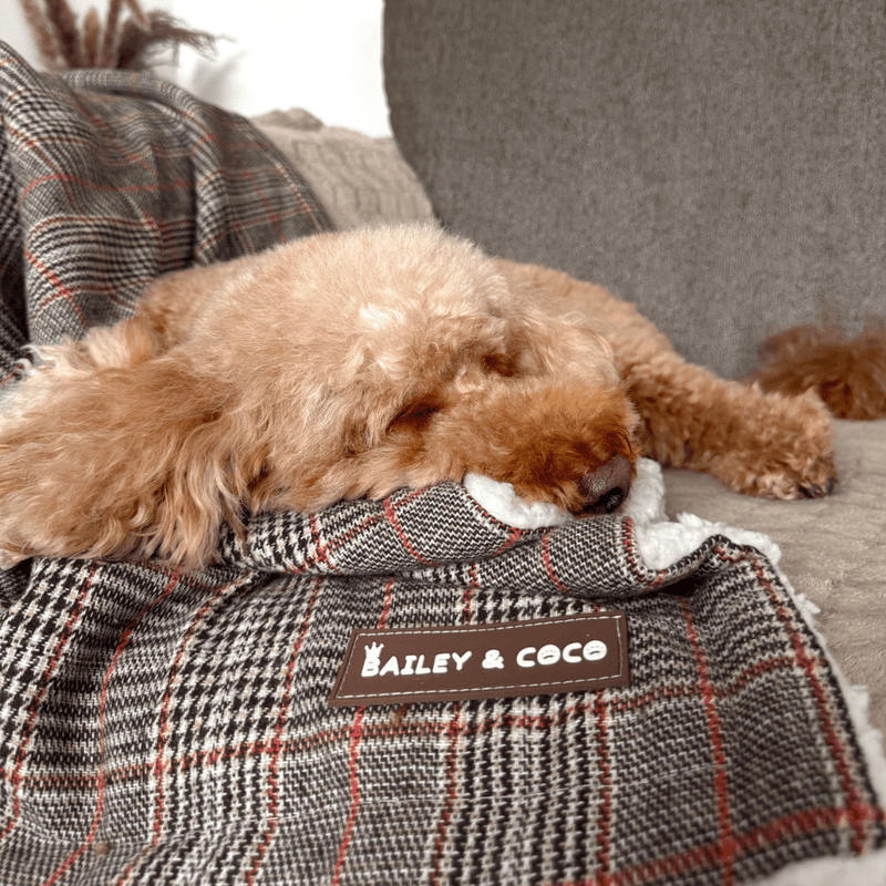 Heritage Plaid Dog Blanket - Soft Sherpa Lined - Bailey and Coco (UK)