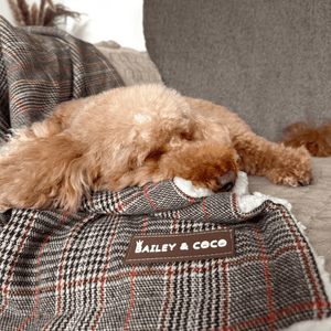 Heritage Plaid Dog Blanket - Soft Sherpa Lined - Bailey and Coco (UK)
