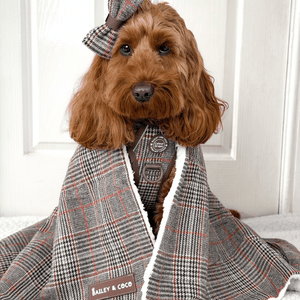 Heritage Plaid Dog Blanket - Soft Sherpa Lined - Bailey and Coco (UK)