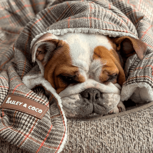 Heritage Plaid Dog Blanket - Soft Sherpa Lined - Bailey and Coco (UK)