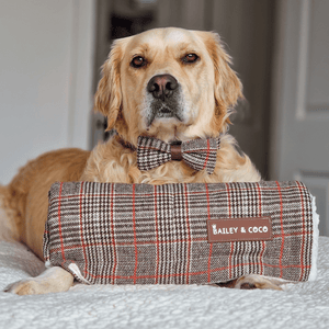 Heritage Plaid Dog Blanket - Soft Sherpa Lined - Bailey and Coco (UK)