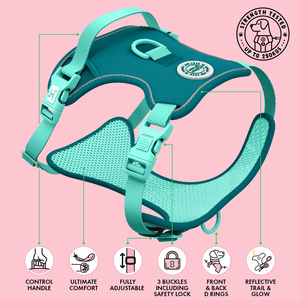 Ice Teal Adjustable Dog Harness, Lead, Collar & Dog Walking Bag Bundle - Bailey and Coco (UK)