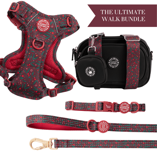 Jingle Berry Adjustable Dog Harness, Lead, Collar & Dog Walking Bag Bundle - Bailey and Coco (UK)