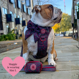 Jingle Berry Adjustable Dog Harness, Lead, Collar & Dog Walking Bag Bundle - Bailey and Coco (UK)