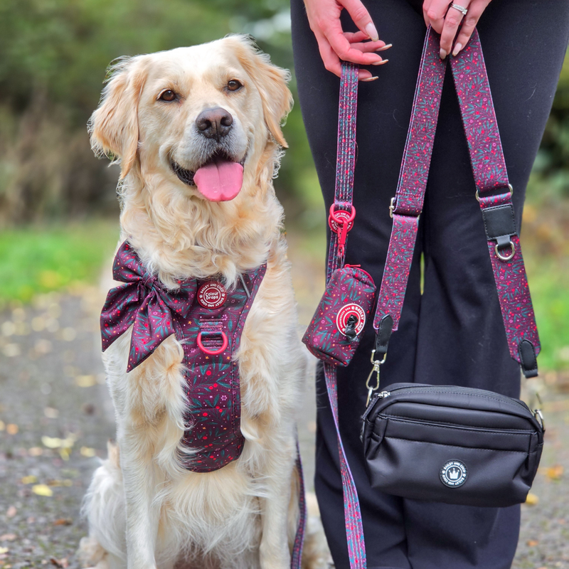 Jingle Berry Strap for Dog Walking Bag - Bailey and Coco (UK)