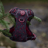 Jingle Berry Trail & Glow Dog Harness, Lead & Collar Bundle - Bailey and Coco (UK)