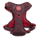 Jingle Berry Trail & Glow Dog Harness, Lead & Collar Bundle - Bailey and Coco (UK)