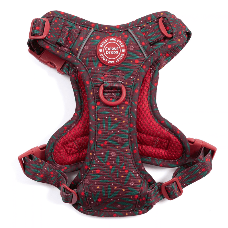 Jingle Berry Trail & Glow Dog Harness, Lead & Collar Bundle - Bailey and Coco (UK)