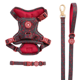Jingle Berry Trail & Glow Dog Harness, Lead & Collar Bundle - Bailey and Coco (UK)