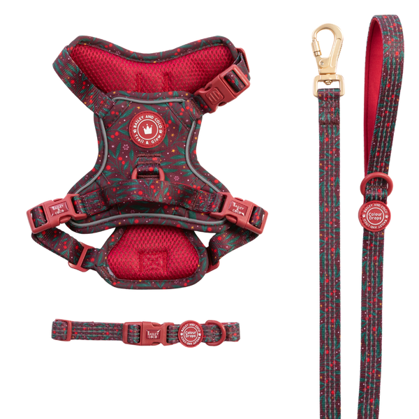 Jingle Berry Trail & Glow Dog Harness, Lead & Collar Bundle - Bailey and Coco (UK)