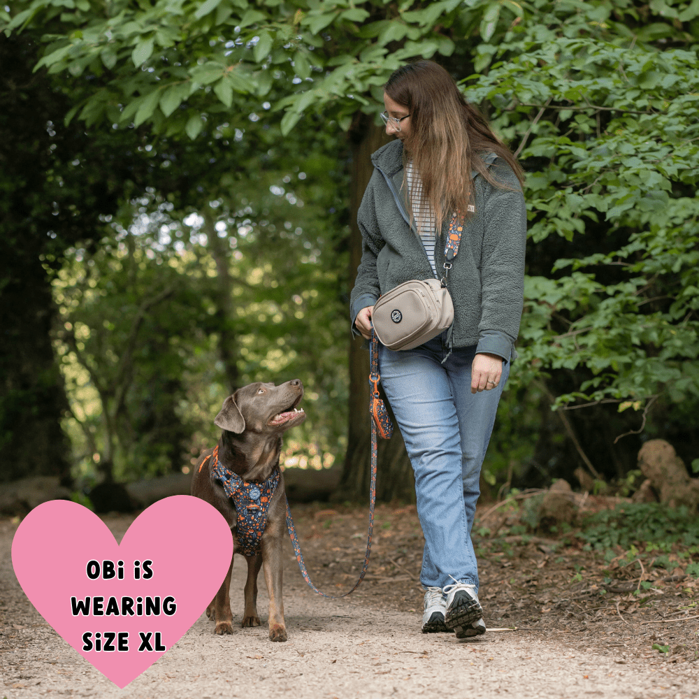 Labrador wearing Bailey & Coco Colour Drops Bewitched dog harness walking with owner carrying beige dog walking bag with matching strap in the UK