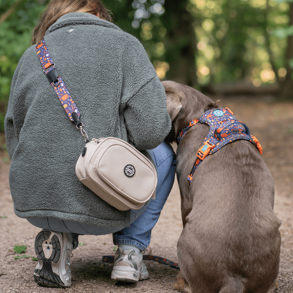 Labrador wearing Bailey & Coco Colour Drops Bewitched dog harness sitting beside owner carrying beige dog walking bag with matching strap during a woodland walk in the UK